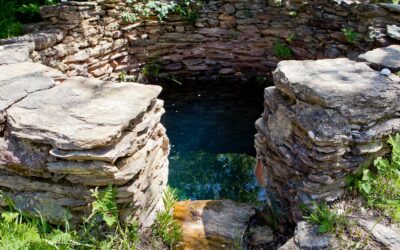 Onze footprint of hoe eco is PNL?